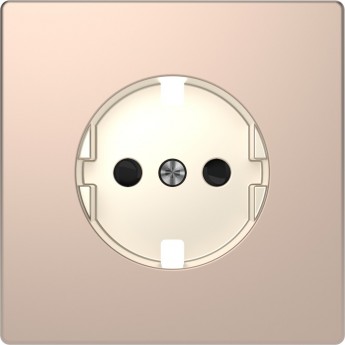 Центральная накладка SCHNEIDER ELECTRIC MERTEN D-LIFE для механизма розетки, ШАМПАНЬ